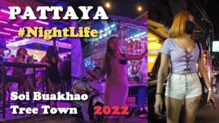 Pattaya nightlife scenes of Soi Buakhao/ Tree Town/  LK Metro/ bar ladies and girls / January 2022