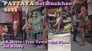Pattaya scenes of Soi Buakhao 👯‍♀️  LK Metro/ soi Honey/ soi Plaza bars massage girls -January 2022